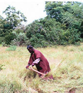 DOULOS Ecole Biblique Integrated Agriculture Program