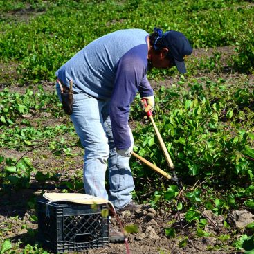 Migrant Workers Project